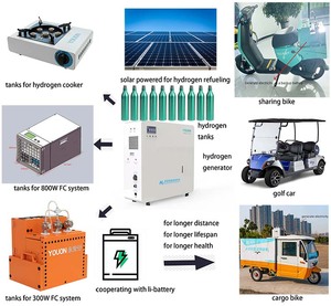 Efficiente produzione di idrogeno 250L/H inalatore di idrogeno 1mpa generatore di idrogeno accumulo di energia pulita per le case Off-Grid - Product Image 4