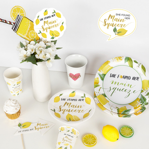 לימונדה הדר ערכת נושא הדרים מסיבת רווקות אספקה שהיא מצאה את ערכת העיטור העיקרית שלה לימון - Product Image 1