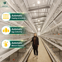 Équipement d'élevage avicole : Cage à poules pondeuses automatique de type H galvanisée à chaud pour 100 000 poules pondeuses