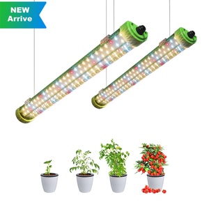 Tube LED de culture à spectre complet pour serre, légumes et fleurs, 0.6m 0.9m 1.2m 1.5m 50w T5 T8, prix compétitif - Product Image 1