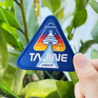 Écussons personnalisés au fer à repasser, logo brodé, grand chapeau de vêtements d'anime, patch animal tissé à coudre pour veste