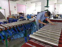 Moteurs de pompes submersibles Franklin de China Liyuan Cable
