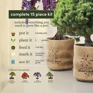 Maceta de cerámica <span class=keywords><strong>Bonsai</strong></span> Tree DIY Starter <span class=keywords><strong>Kit</strong></span> de jardín hidropónico con 13 piezas Herramientas de bambú para uso en el hogar y la guardería - Product Image 4
