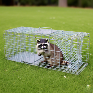 Piège à capture robuste pour écureuils sauvages, chats, <span class=keywords><strong>cage</strong></span> en métal pliable, forme carrée, pour la lutte antiparasitaire humaine, lapins errants - Product Image 6