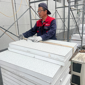 แผ่น<span class=keywords><strong>ผนัง</strong></span>โฟม <span class=keywords><strong>EPS</strong></span> 3 มิติ สำหรับตกแต่ง<span class=keywords><strong>ผนัง</strong></span>บ้าน โรงแรม ร้านอาหาร - Product Image 5