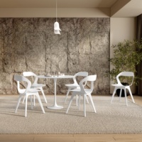 Chaises de salle à manger de luxe haute performance, chaises en plastique pour événements, chaise de salon nordique pour hôtel