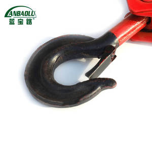 รอกยกแบบล้อเดียว Lanbaolu 5 ตัน แบบ D พร้อมห่วงยกสแตนเลส สำหรับงานบำรุงรักษาอุตสาหกรรม - Product Image 3