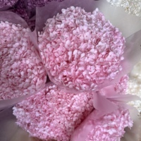 Bunga Hydrangea Asli Awet Bentuk Bulat 50-60cm, Diolah dengan Gliserin, Dekorasi Bunga Abadi untuk Pernikahan dan Rumah