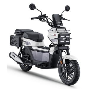 Scooter Hot Hon da Square X 125 Zoomer X PS250 - Product Image 3