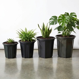 Jardinières en plastique noir avec trous de drainage pour plantes vertes d'intérieur et d'extérieur, design moderne et minimaliste B320 - Product Image 5