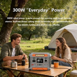 เครื่องกำเนิดไฟฟ้าพลังงานแสงอาทิตย์แบบพกพา 300w พร้อมไฟ LED แบตเตอรี่สำรองแบบชาร์จได้ สำหรับกรณีฉุกเฉินกลางแจ้ง - Product Image 3
