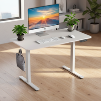 Meubles de bureau modernes de luxe, bureau à hauteur réglable à moteur unique, tables d'ordinateur réglables, bureau d'étude moderne