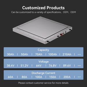 Cableado Personalizado ODM de Fábrica, Temperatura de Funcionamiento -20~60 ℃   Batería de Estado Sólido de 15 kWh, 48 V, 300 Ah para Microcoche Eléctrico EV, 6000 Ciclos - Product Image 6