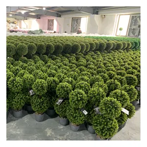 Ruopei 3ft Boxwood Topiary Set Of 2 Faux Grass Ball Spiral Tree Artificial Plant Bonsai Topiary Tree For Outdoor Decor