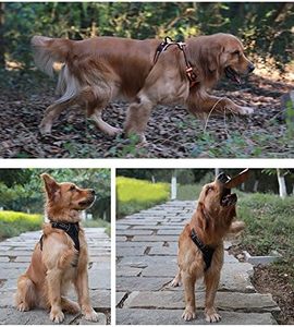 Harnais pour chien rembourré réfléchissant en nylon Oxford avec doublure en maille douce pour le camping/les voyages - Vente en gros - Product Image 4