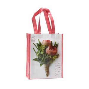 Mini sac à provisions Bsci Audit personnalisé ou standard prix d'usine - Product Image 6