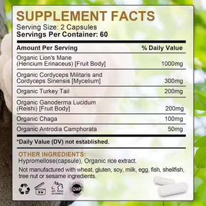 Túi năng lượng của sư tử bờm nấm viên nang thảo dược bổ sung hữu cơ viên nang bờm sư tử - Product Image 5