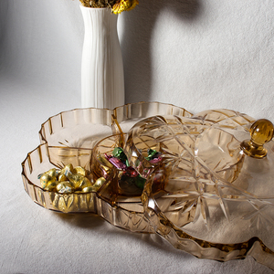 Vassoio in polistirene di plastica Multi piastra acrilica da 9987G con coperchio - Product Image 5