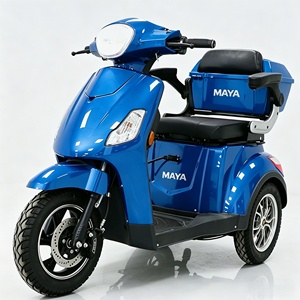 Triciclo Elettrico per Anziani 2026 OEM ODM con Pneumatici Larghi, Tre Ruote e Due Posti - Product Image 6