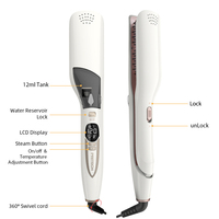 PRITECH-Lisseur à cheveux Nano, brosse lisseur à vapeur, brosse professionnelle