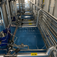 Mélangeur Émulsifiant Homogénéisant Sous Vide de Qualité Alimentaire, Usine de Production de Sauce Tomate, Machine à Mayonnaise