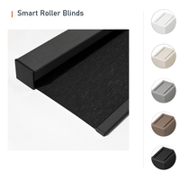 Stores à rouleaux motorisés compatibles Matter, occultants à 100 %, avec télécommande électrique intelligente Tuya WiFi pour bureau et intérieur