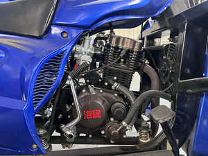 Tricycle agricole à moteur essence 350cc, <span class=keywords><strong>scooter</strong></span> cargo à <span class=keywords><strong>3</strong></span> <span class=keywords><strong>roues</strong></span>, tricycles Rized pour le transport de marchandises - Product Image 4