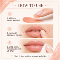 Private Label 100% Exfoliant Hydratant Bio Vegan Éclaircissant Lèvres Suger Pink Lip Scrub