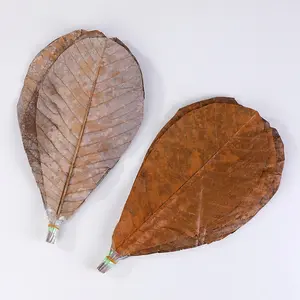 Feuilles de goria séchées pour barbecue, vente en gros, séchées, conditionnées sous vide, décoratives, pour BBQ japonais