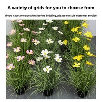 Bunga Gesang Artifisial Qishuo dalam Pot, Bahan PET/PVC, untuk Dekorasi Rumah, Fotografi Pernikahan, Indoor/Outdoor, Tanaman Pot