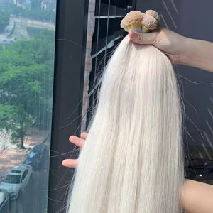 Hot 2025 Kératine Tip Extensions Blonde Raw Cheveux Humains Vietnamiens Premium Usine En Gros Toutes Les Couleurs 50 70 cm Longueurs - Product Image 1