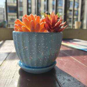 Maceta Rústica de Cerámica Esmaltada de 4 Pulgadas con Orificio de Drenaje, Duradera y Ecológica para Suculentas y Cactus, Estilo Rústico para Interiores/Exteriores - Product Image 3