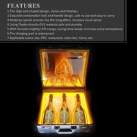 Boîte de transport VIP Ace of Spade pour champagne, mallette à vin, présentoir lumineux LED pour bouteilles, présentoir à liqueurs pour bars et discothèques