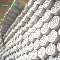 2024 Membrane céramique tubulaire de haute qualité pilote Membrane céramique nanofiltration vente chaude nouvelle condition boîtier de noyau
