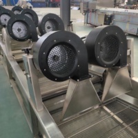 Automatische gaasband droogmachine voor fruit en groenten, industriële uien droogmachine