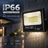 Projecteur solaire avec protection IP67, boîtier en alliage d'aluminium, source lumineuse LED pour routes, jardins, aménagements paysagers, indice de fidélité des couleurs élevé 95, télécommande