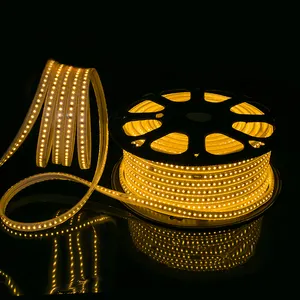 Glite Rgb 220 Volt 3014 Smd Led 220v 110v Strip Light