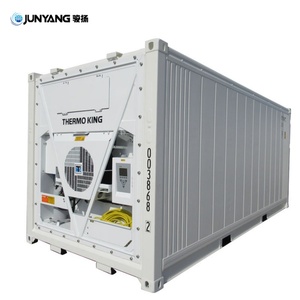 Direct Sale 20ft Carrier Corten Steel <b>Refrigerator</b> Freezer <b>Container</b> BV GL Certified Dual Purpose Frozen Storage 20 Feet Reefer - Product Image 2