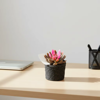 Mini plante succulente artificielle en forme de rosette dans un pot texturé tressé, fausse verdure en pot pour la décoration de la maison, du bureau, du bureau, de la table
