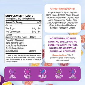 Gomitas de Hongos con Sabor a Frutas Mixtas y Extracto Herbal Natural OEM/ODM, Suplemento Nootrópico Vegano para el Cerebro que Apoya la Inmunidad y la Memoria - Product Image 2