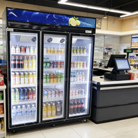 Réfrigérateur Commercial Vitré 220V pour Supermarché, Réfrigérateur Vertical 0~10°C pour Boissons