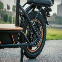 Livraison gratuite 14 pouces pneu 48V 500W Scooter électrique pour enfants 18650 batterie Trotinete Eletrica Patinete scooter à deux roues