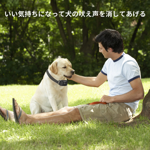 Petsuper Top Sellers 2024 Recargable Vibración Perro Sin golpes <span class=keywords><strong>Collar</strong></span> antiladridos con control inteligente de ladridos - Product Image 6