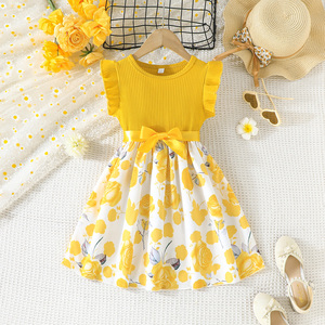 Vestido para Niñas de 4 a 7 Años, Algodón/Poliéster, Ropa Infantil, Encaje, Sin Mangas, Formal, Verde, Princesa - Product Image 1