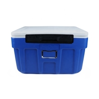 Glacière isotherme 5L en PE pour aliments, bière, camping, sport, voyage, transport de vaccins non médicaux