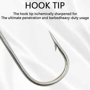 Hamulus hippocampi một cái móc dài - Product Image 3