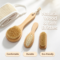 Lot de 4 brosses de bain en bois naturel, ensemble de brosses de bain tendance avec poils de sanglier, peigne à coussin d'air, ceinture exfoliante en sisal, kit de douche écologique pour spa