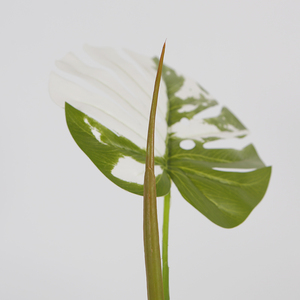 <span class=keywords><strong>Plante</strong></span> artificielle Monstera 80cm Faux <span class=keywords><strong>Albo</strong></span> Monstera Arbre avec des feuilles blanches et vertes pour la décoration de la maison et du salon - Product Image 4