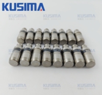 Kit de tappets hydrauliques Kusima de qualité OEM pour moteur automobile, compatible Ford Transit V362 Tourneo 2.0 Diesel ECOBOOST Ecoblue