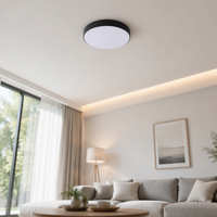 Plafonnier LED rond de 175 mm, 20 W, panneau lumineux, AC220V 100V, tension personnalisable, cinq diamètres disponibles